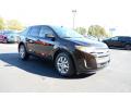 2013 Edge SEL #3 2013 Edge SEL #3