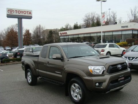 Pyrite Mica Toyota Tacoma V6 TRD Sport Access Cab 4x4.  Click to enlarge.