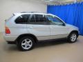  2003 BMW X5 Titanium Silver Metallic #10