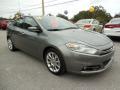 2013 Dart Limited #10 2013 Dart Limited #10