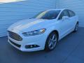 2014 Fusion SE EcoBoost #7 2014 Fusion SE EcoBoost #7