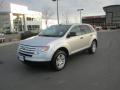 2010 Edge SE AWD #2