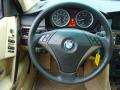 2004 5 Series 545i Sedan #18