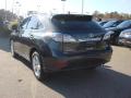 2010 RX 350 AWD #4 2010 RX 350 AWD #4