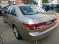 2004 Honda Accord Desert Mist Metallic #10 2004 Honda Accord Desert Mist Metallic #10