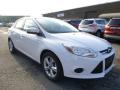2014 Focus SE Sedan #1