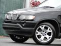 2001 X5 4.4i #29 2001 X5 4.4i #29