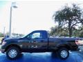 2014 F150 XL Regular Cab #2
