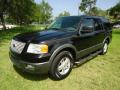Front 3/4 View of 2005 Ford Expedition XLT 4x4 #9