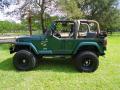 2000 Wrangler Sahara 4x4 #6