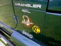 2000 Wrangler Sahara 4x4 #8