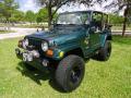 2000 Wrangler Sahara 4x4 #18