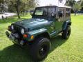 2000 Wrangler Sahara 4x4 #29