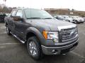 2013 F150 XLT SuperCrew 4x4 #1
