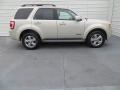 2008 Escape Limited #3