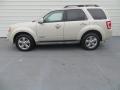 2008 Escape Limited #6