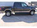 2002 F150 Lariat SuperCrew 4x4 #11