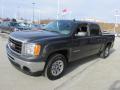 2010 Sierra 1500 SL Crew Cab 4x4 #6