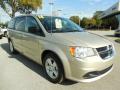 2013 Grand Caravan SE #12 2013 Grand Caravan SE #12