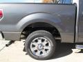 2013 F150 XLT SuperCrew #7
