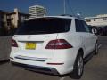 2014 ML 350 BlueTEC 4Matic #4