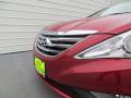 2014 Sonata SE #11
