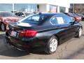 2013 5 Series 528i xDrive Sedan #3