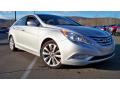 2011 Sonata SE #20