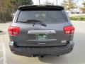 2011 Sequoia Limited #9 2011 Sequoia Limited #9