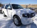 Front 3/4 View of 2014 Ford Expedition Limited 4x4 #1