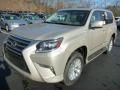 Front 3/4 View of 2014 Lexus GX 460 #7 Front 3/4 View of 2014 Lexus GX 460 #7