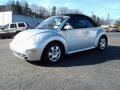 2003 New Beetle GLS Convertible #4 2003 New Beetle GLS Convertible #4