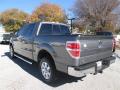 2014 F150 XLT SuperCrew #3