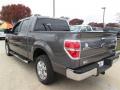 2013 F150 XLT SuperCrew #3
