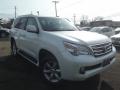 2010 GX 460 #2 2010 GX 460 #2