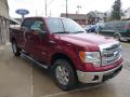 2013 F150 XLT SuperCrew 4x4 #3 2013 F150 XLT SuperCrew 4x4 #3