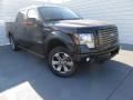 2012 F150 FX4 SuperCrew 4x4 #2