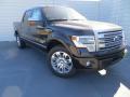 2014 F150 Platinum SuperCrew #2