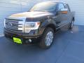 2014 F150 Platinum SuperCrew #7
