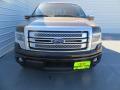 2014 F150 Platinum SuperCrew #8