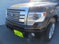 2014 F150 Platinum SuperCrew #11