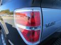 2014 F150 Platinum SuperCrew #17