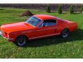 1965 Mustang Fastback #2 1965 Mustang Fastback #2