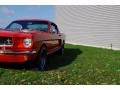 1965 Mustang Fastback #6 1965 Mustang Fastback #6