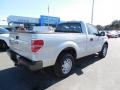 2013 F150 XL Regular Cab #7