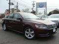 2013 Passat 2.5L SE #1 2013 Passat 2.5L SE #1