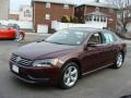 2013 Passat 2.5L SE #3 2013 Passat 2.5L SE #3
