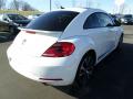 2013 Beetle Turbo #8