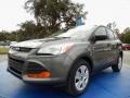 2014 Escape S #1