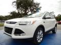 2014 Escape Titanium 2.0L EcoBoost #1